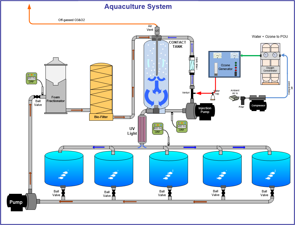 Озон вода. Кислородная станция для аквакультуры. Aquaculture 2 рецепты. Система Озон. Аквакультура установка груза схема.